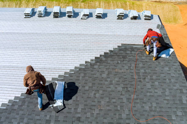 Best Gutter Installation and Roofing  in Cleary, MS